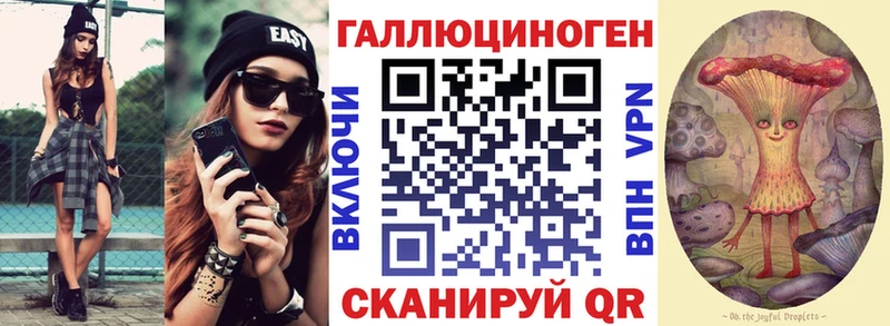кракен маркетплейс Новосибирск Псилоцибиновые грибы мицелий где найти