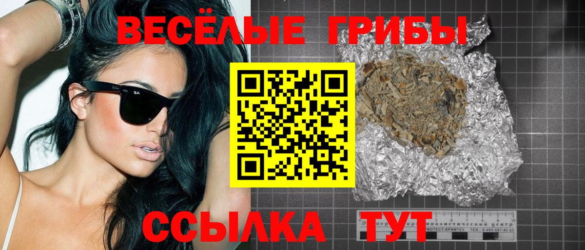 Галлюциногенные грибы прущие грибы  Вход с VPN  Галлюциногенные грибы ЛСД  Новосибирск 